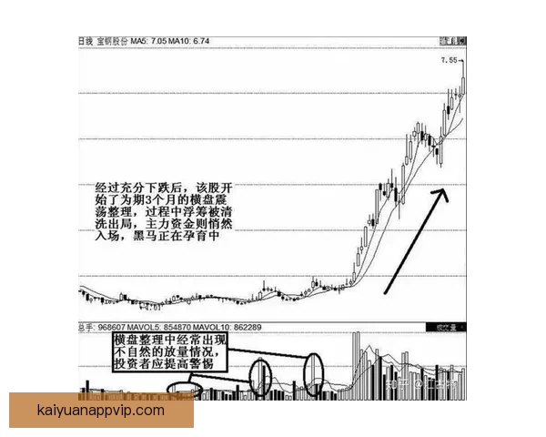 2026世界杯夺冠赔率持续震荡背后强队格局与黑马机会深度解析
